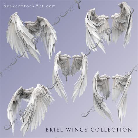 angel folded wings